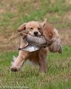 20180602-shrl-0413
