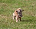 20180602-shrl-0427