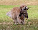 20180602-shrl-0438
