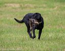 20180602-shrl-0467