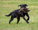 20180602-shrl-0469