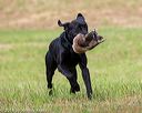20180602-shrl-0471