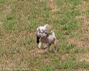 20180602-shrl-0478