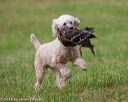 20180602-shrl-0516
