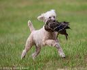 20180602-shrl-0517
