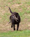 20180602-shrl-0565