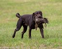20180602-shrl-0578