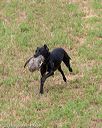 20180602-shrl-0590