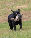 20180602-shrl-0635