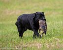 20180602-shrl-0653