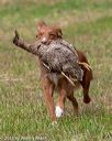 20180602-shrl-0674
