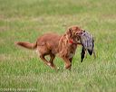 20180602-shrl-0687