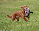 20180602-shrl-0688