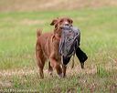 20180602-shrl-0696