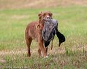 20180602-shrl-0697