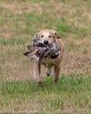 20180602-shrl-0705