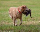20180602-shrl-0728