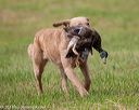 20180602-shrl-0802