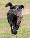 20180602-shrl-0818