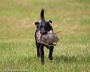 20180602-shrl-0836