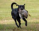 20180602-shrl-0842