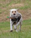 20180602-shrl-0853
