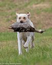 20180602-shrl-0857