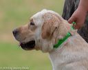 20180602-shrl-0859