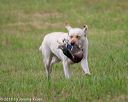 20180602-shrl-0863