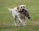 20180602-shrl-0869