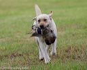 20180602-shrl-0871