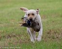 20180602-shrl-0872