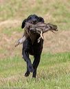 20180602-shrl-0883