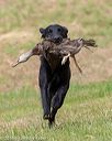 20180602-shrl-0884