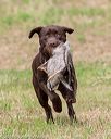 20180602-shrl-0917
