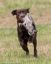 20180602-shrl-0921