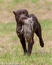 20180602-shrl-0923