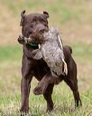 20180602-shrl-0930