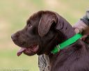 20180602-shrl-0932