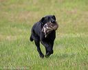 20180602-shrl-0974