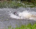 20180602-shrw-0026