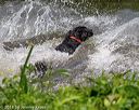 20180602-shrw-0040