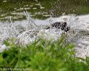 20180602-shrw-0235