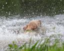 20180602-shrw-0417