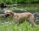 20180602-shrw-0423