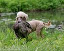 20180602-shrw-0477