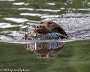 20180602-shrw-0521