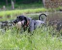 20180602-shrw-0602