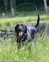 20180602-shrw-0604