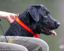 20180602-shrw-0692